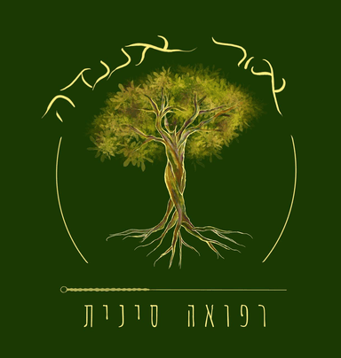 בועז סגיר 