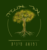 בועז סגיר